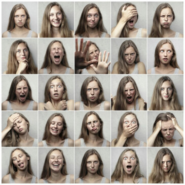 Picture1 Picture1 1 1