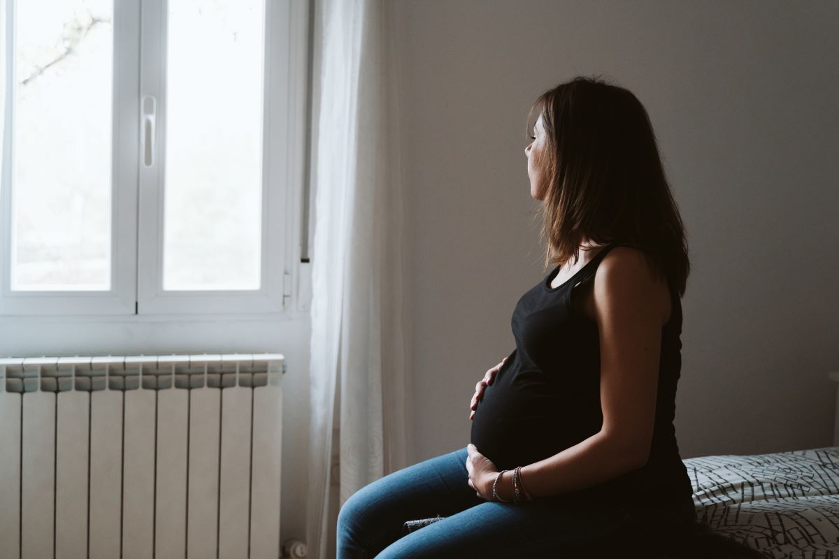 young pregnant woman at home by the window family 2024 11 02 23 47 42 utc